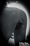 foto 22502