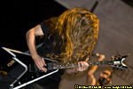 foto 8286