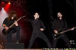foto 8315