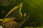 foto 9953